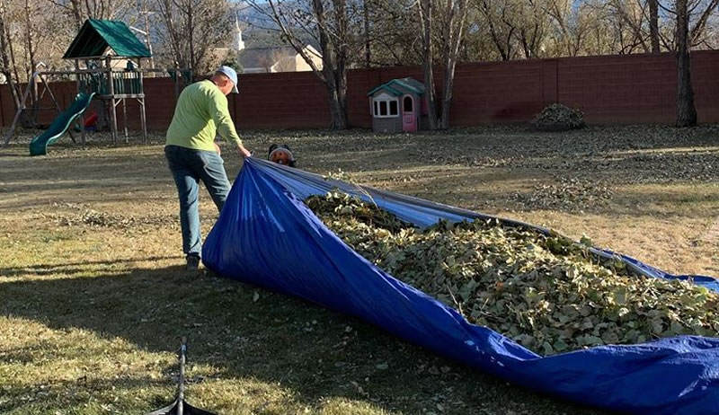 Removing leaves from a clients property.