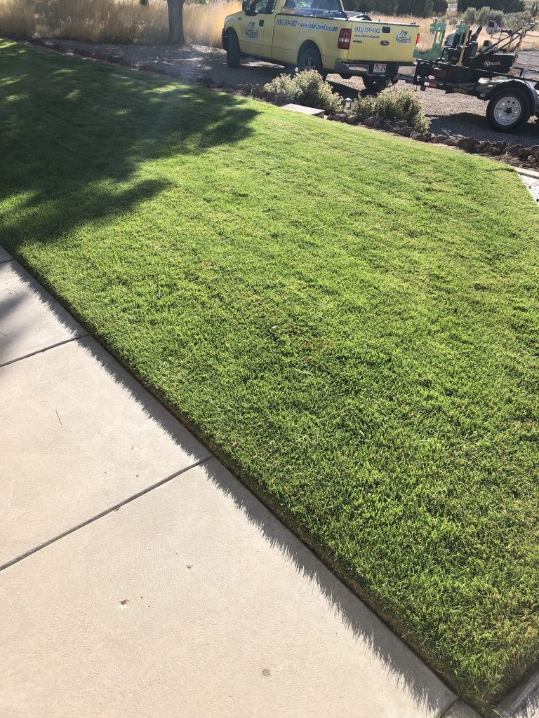 A Guide To Getting Your St. George Lawn Ready For Spring